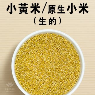 生的-小米-原生種.就在健康豆食品坊